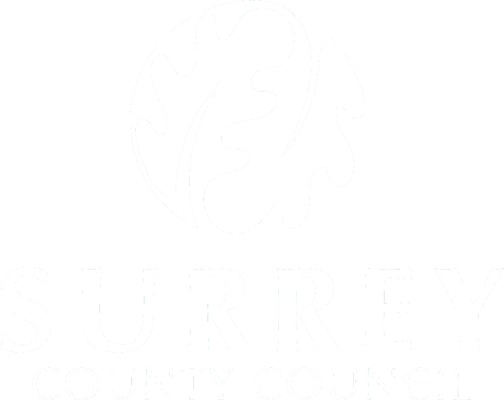 Surrey County Council logo bg remove